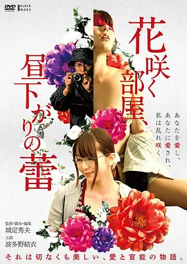 花样年华 海报